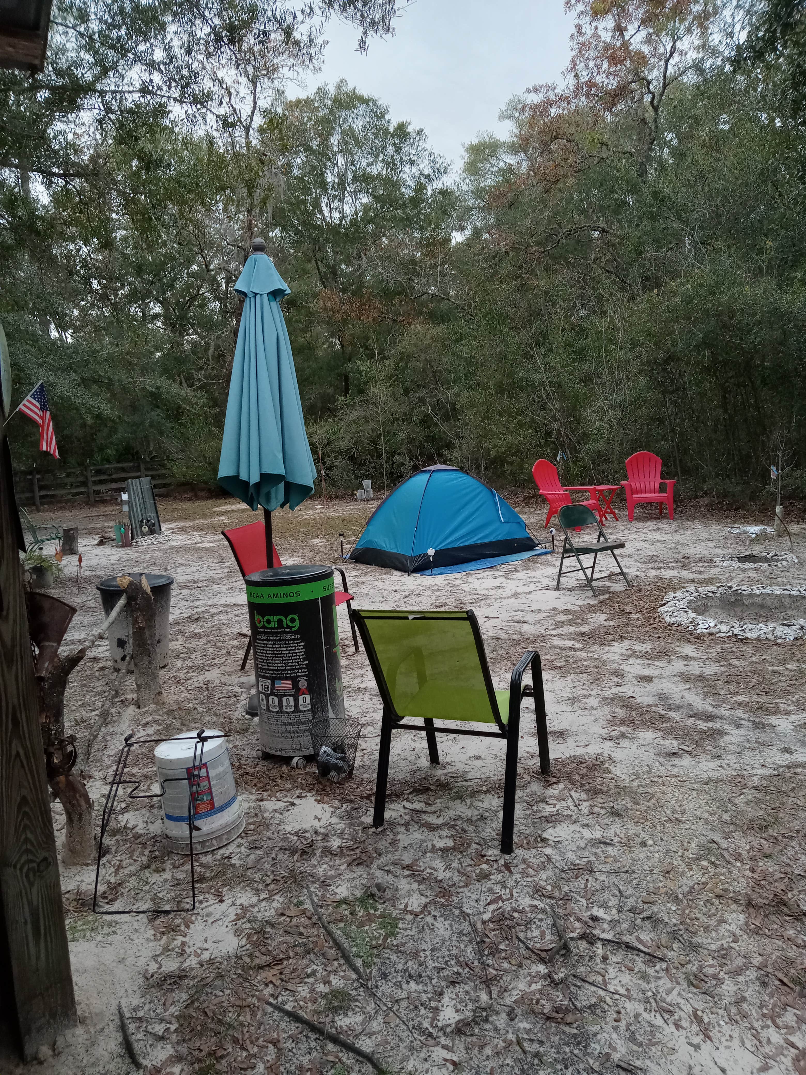 Leonard H.'s photo at Sky acres near Bronson, FL