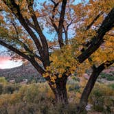 Review photo of Vista Linda Campground — Santa Fe National Forest by Shari  G., January 3, 2024