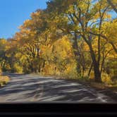 Review photo of Vista Linda Campground — Santa Fe National Forest by Shari  G., January 3, 2024