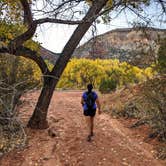 Review photo of Vista Linda Campground — Santa Fe National Forest by Shari  G., January 3, 2024