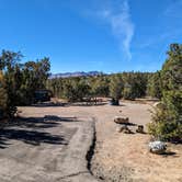 Review photo of Juniper Family Campground — Bandelier National Monument by Shari  G., January 3, 2024