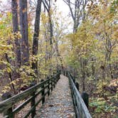 Review photo of Pershing State Park Campground by Sue B., November 2, 2018