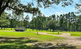Camping near Percy Quin State Park — Percy Quinn State Park: Bayou River Event & Campground , Franklinton, Louisiana