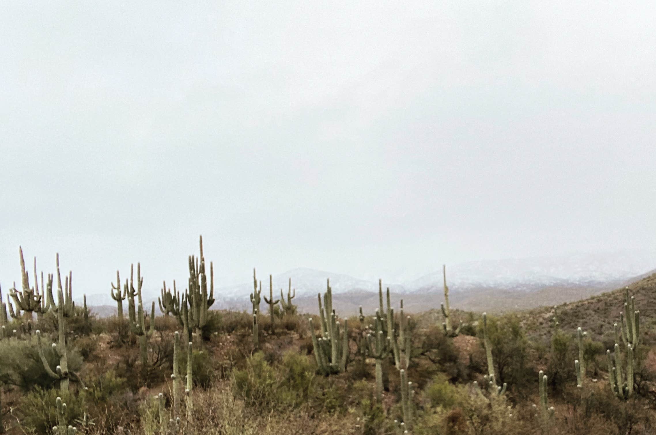 Camper-submitted photo at Needles Eye Ranch near Winkelman, AZ