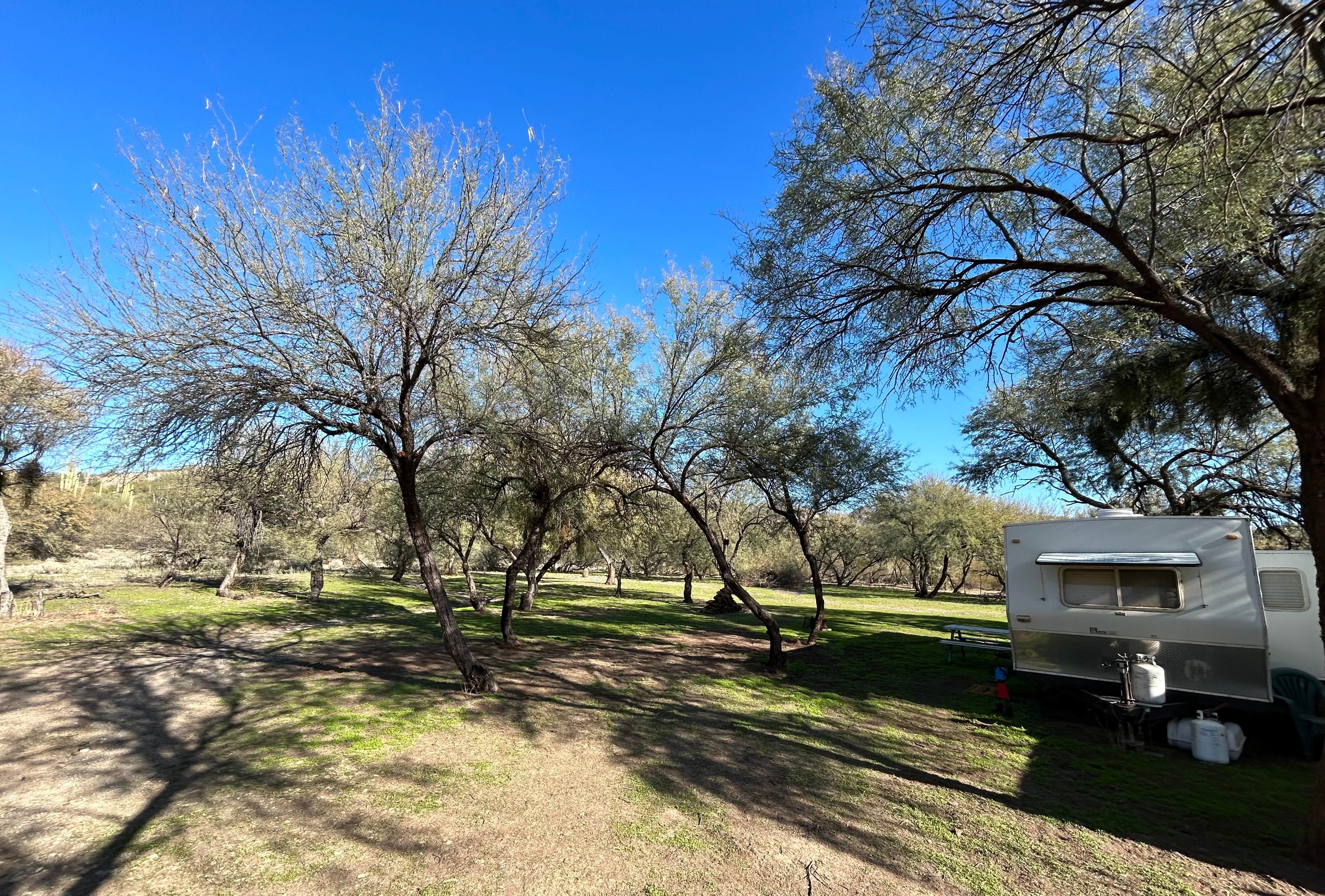 Camper-submitted photo at Needles Eye Ranch near Winkelman, AZ