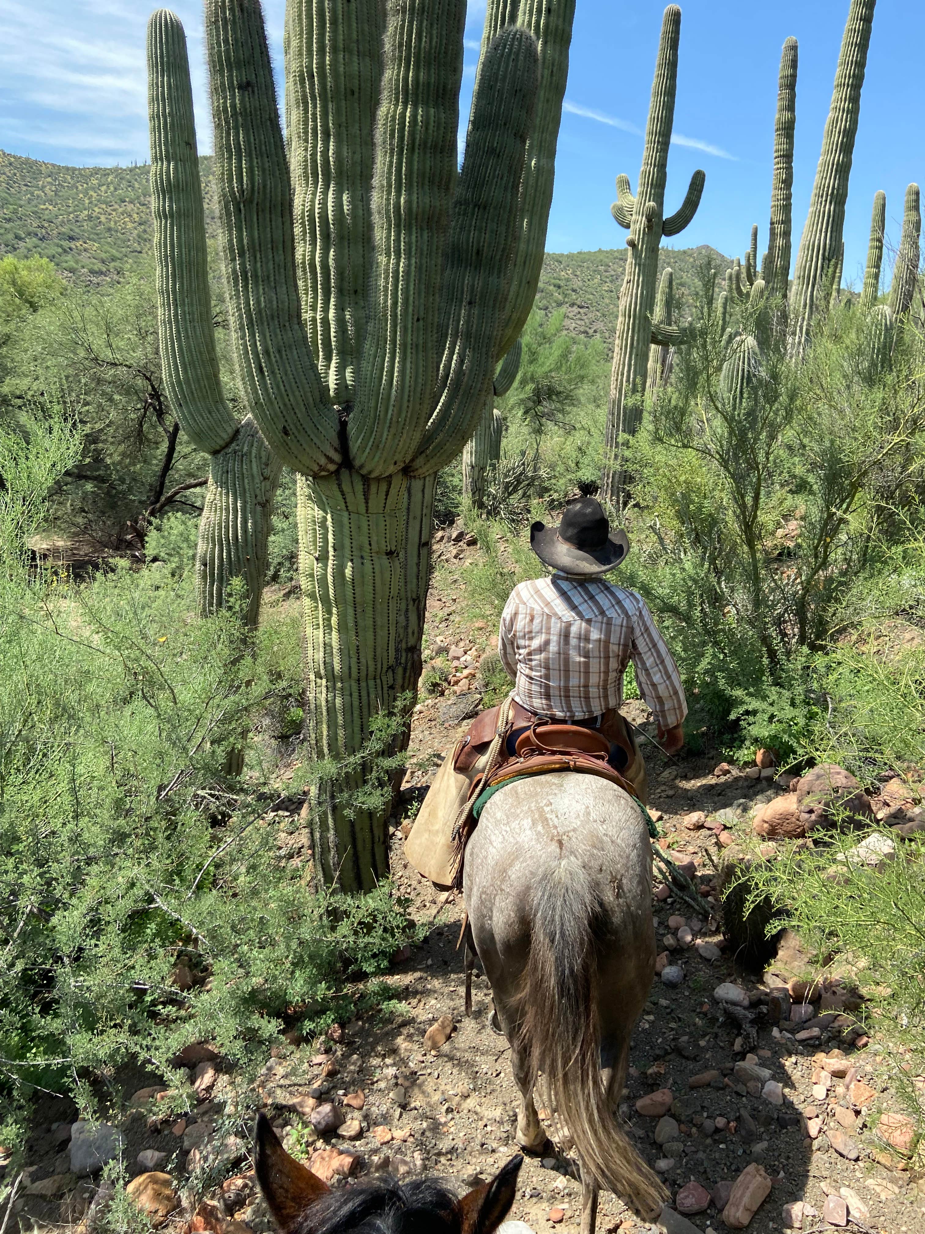 Camper-submitted photo at Needles Eye Ranch near Winkelman, AZ