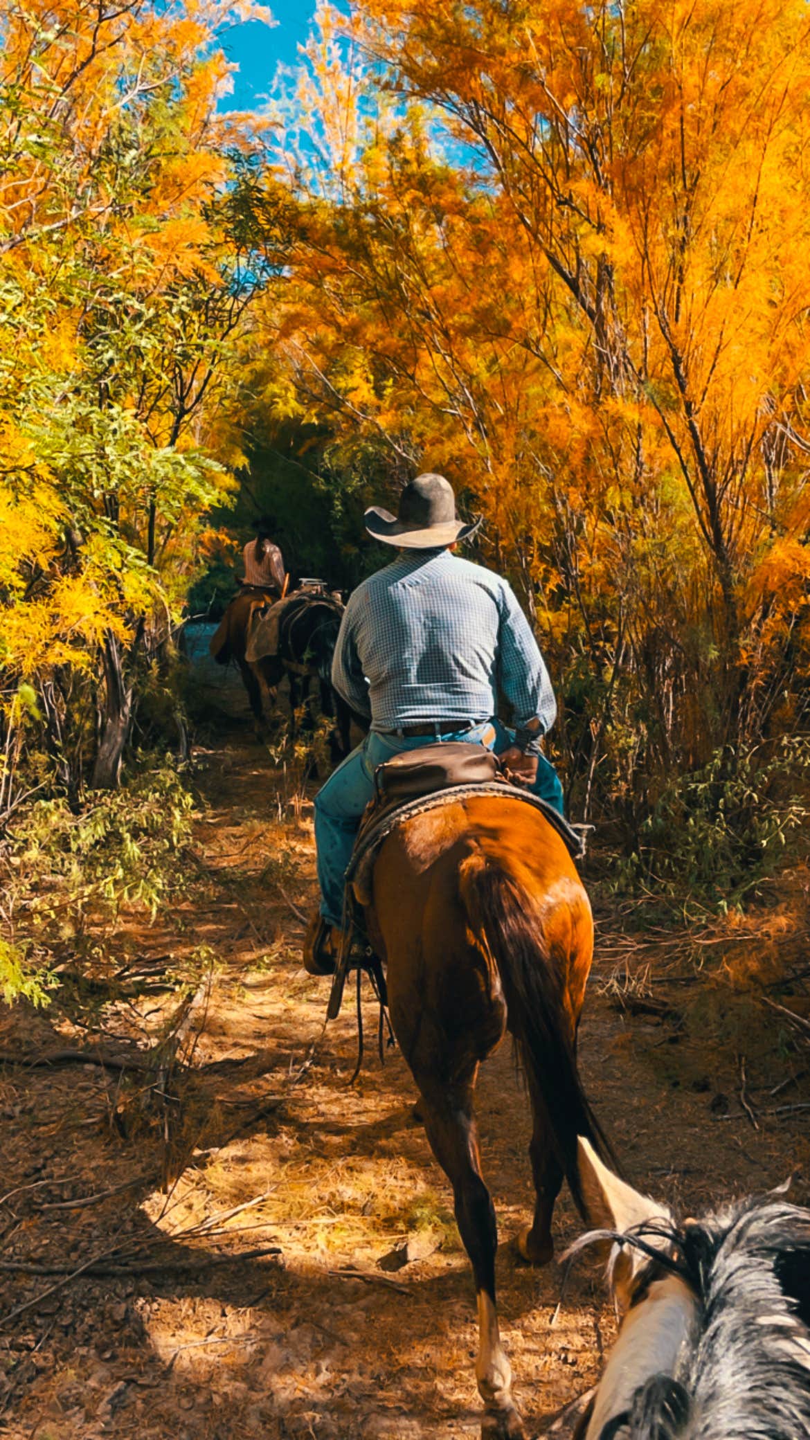 Camper-submitted photo at Needles Eye Ranch near Winkelman, AZ