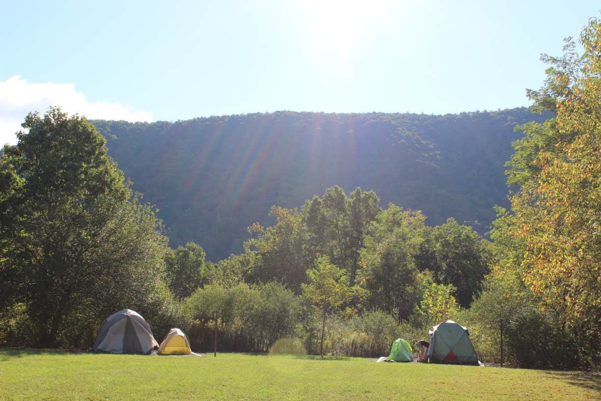 Matthew D.'s photo at Seneca Campground near Hambleton, WV