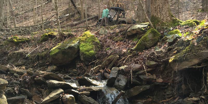 Camper submitted image from Trails End Campground