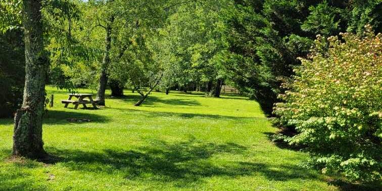 Camper submitted image from Persimmon Creek RV Park