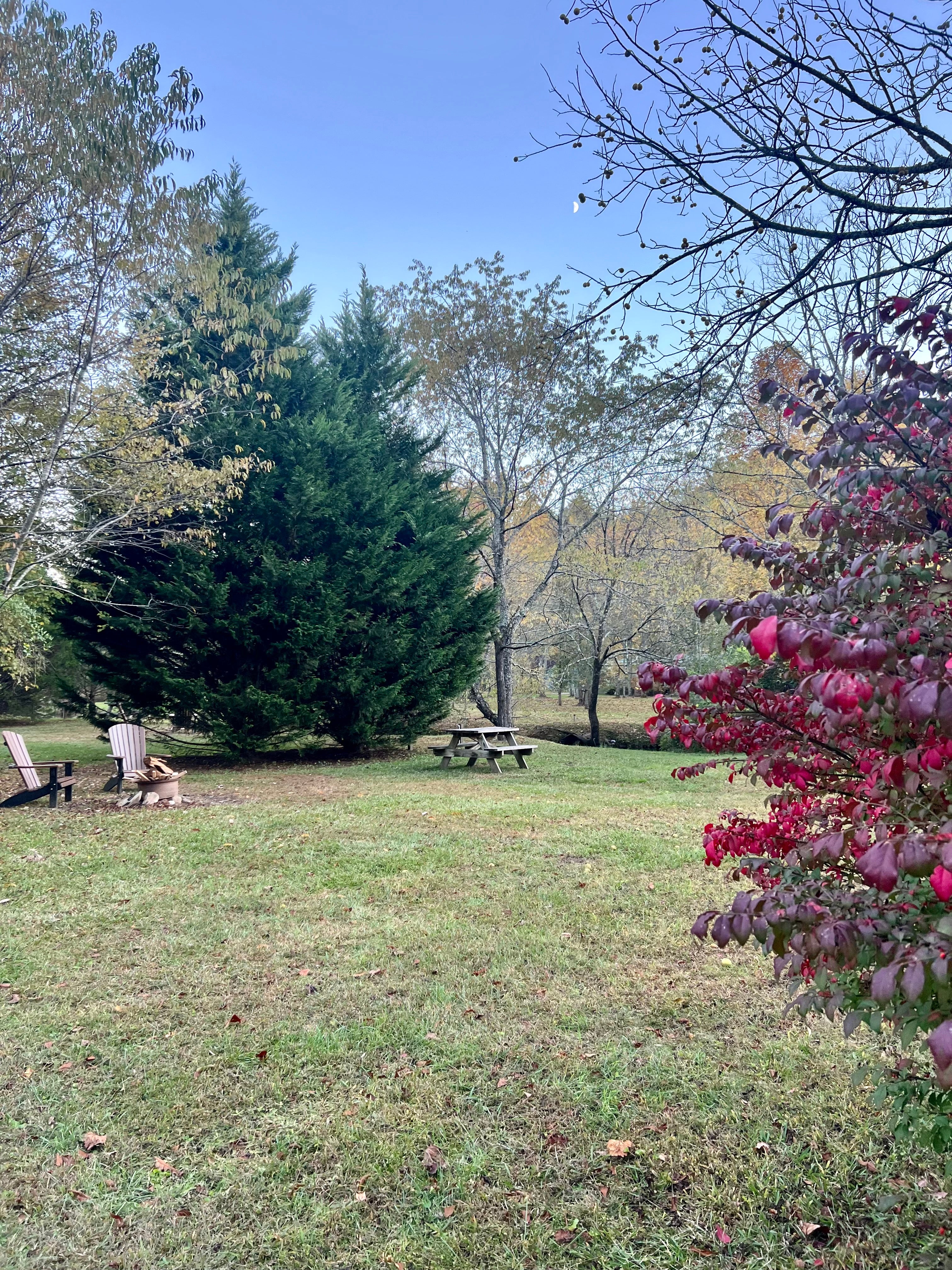 Camper submitted image from Persimmon Creek RV Park - 3