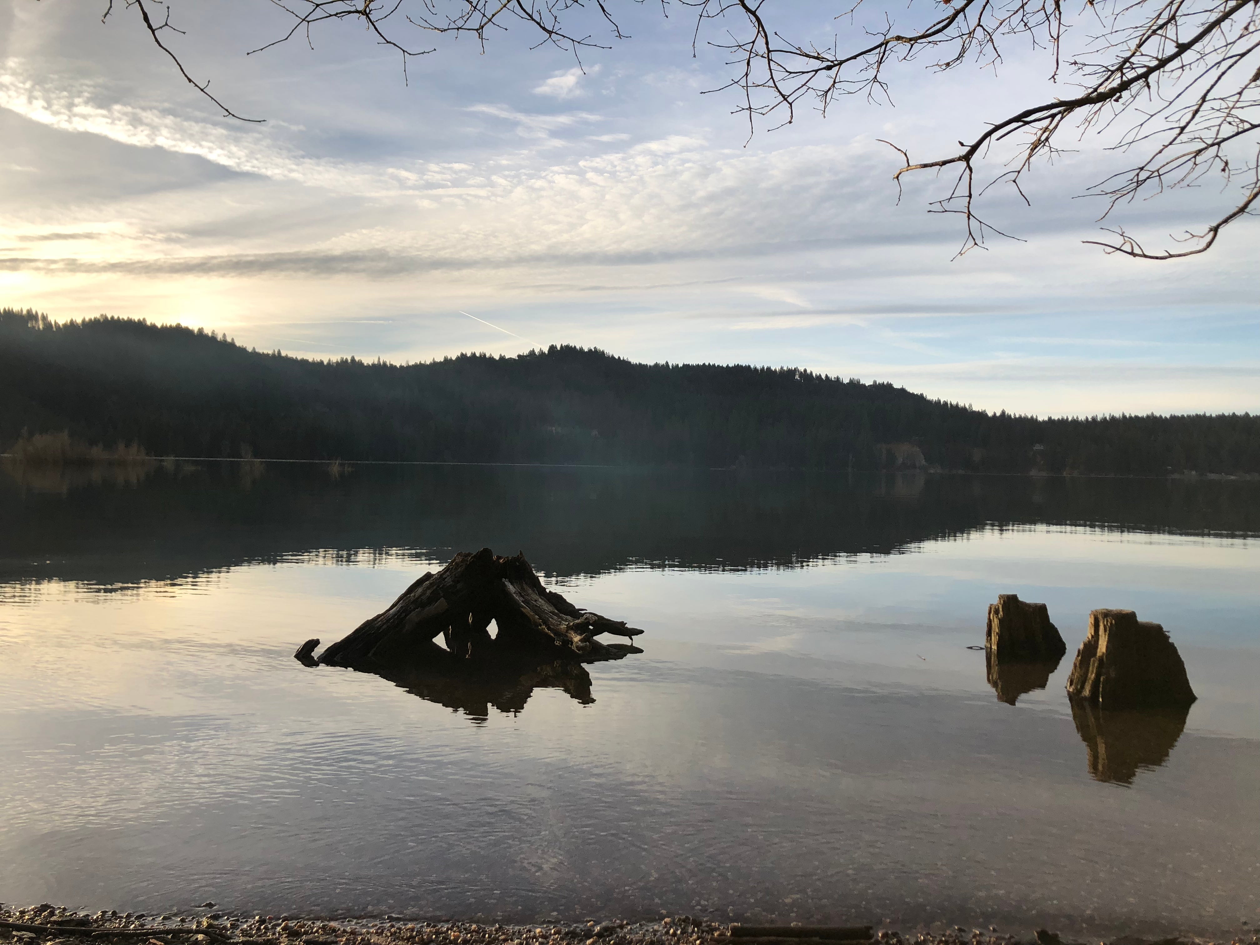 Camper submitted image from Scotts Flat Lake - 3