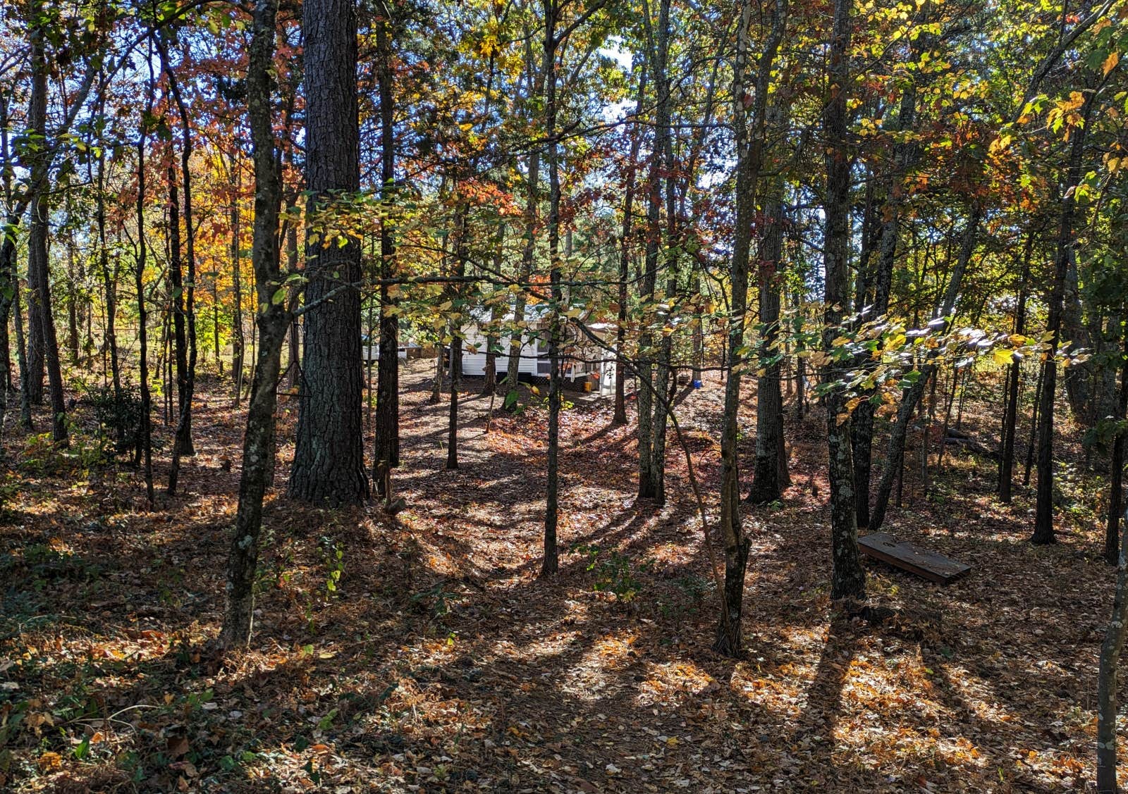 Camper-submitted photo at Camp As-You-Like-It near Bostic, NC