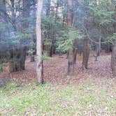 Review photo of New Germany State Park Campground by Michele F., November 3, 2018