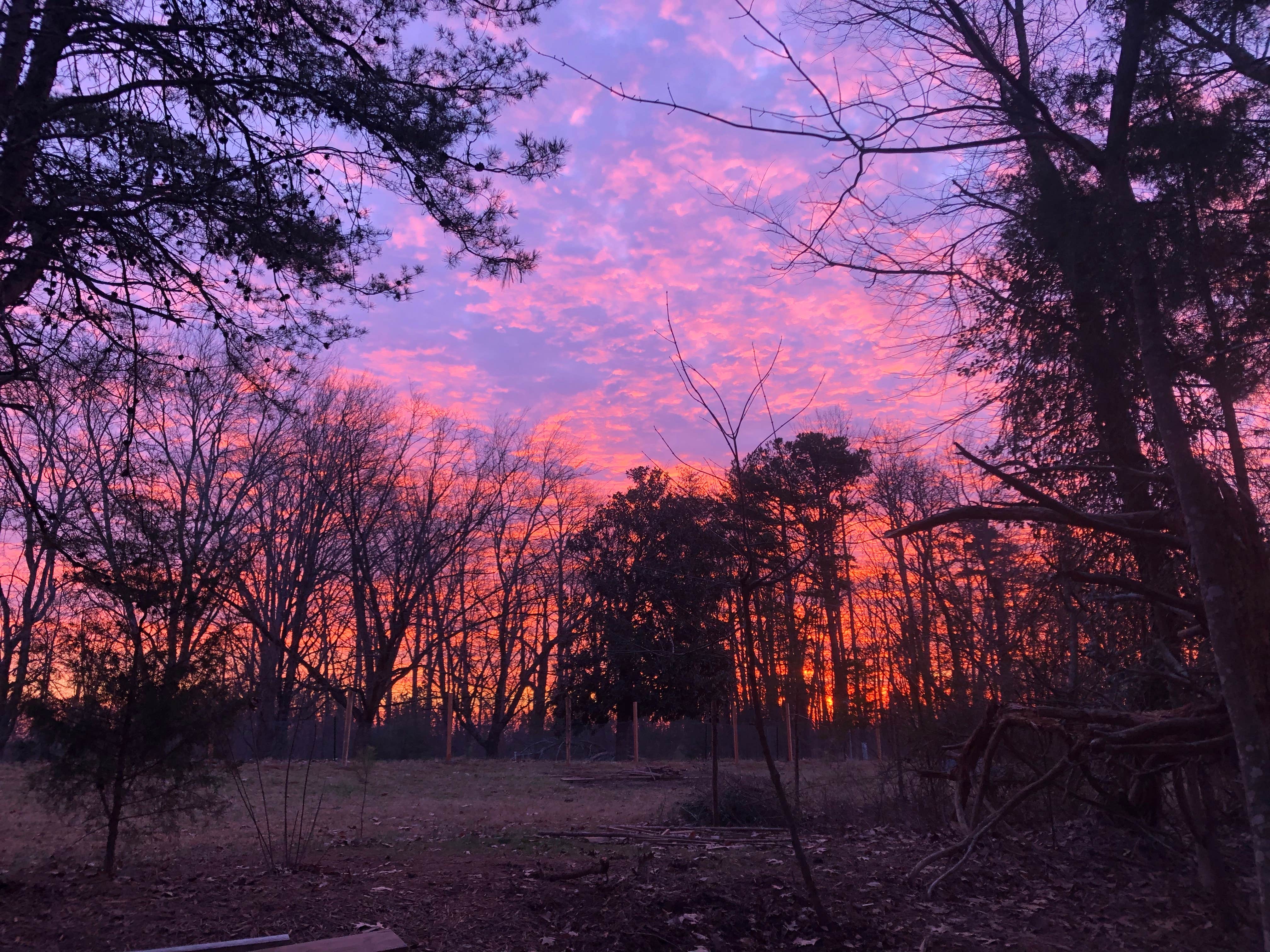 Camper-submitted photo at Camp As-You-Like-It near Bostic, NC