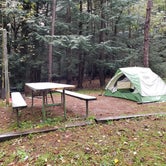 Review photo of New Germany State Park Campground by Michele F., November 3, 2018