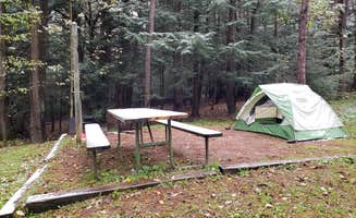 Michele F.'s photo at New Germany State Park Campground near Swanton, MD