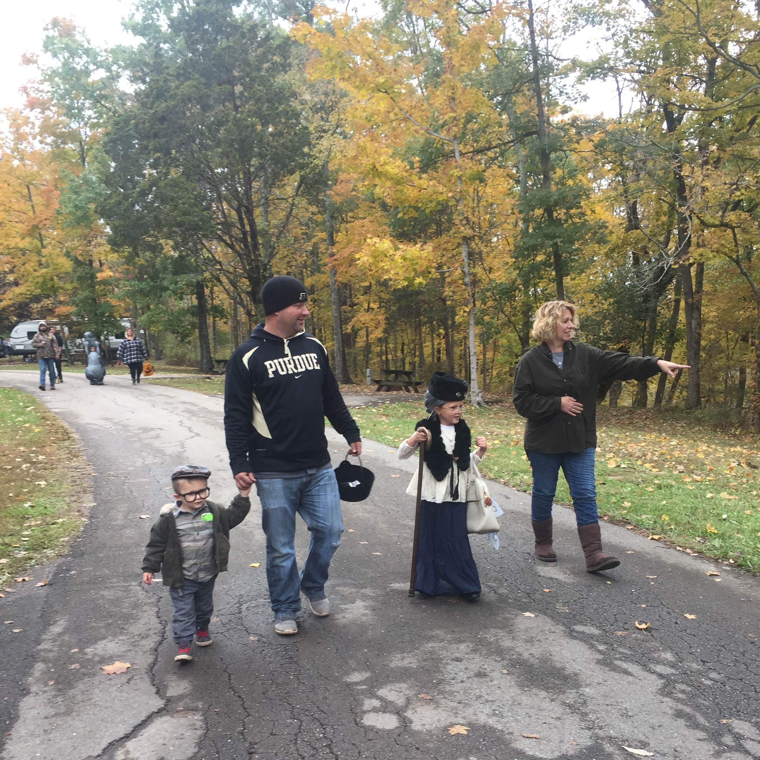 Versailles State Park Camping | The Dyrt