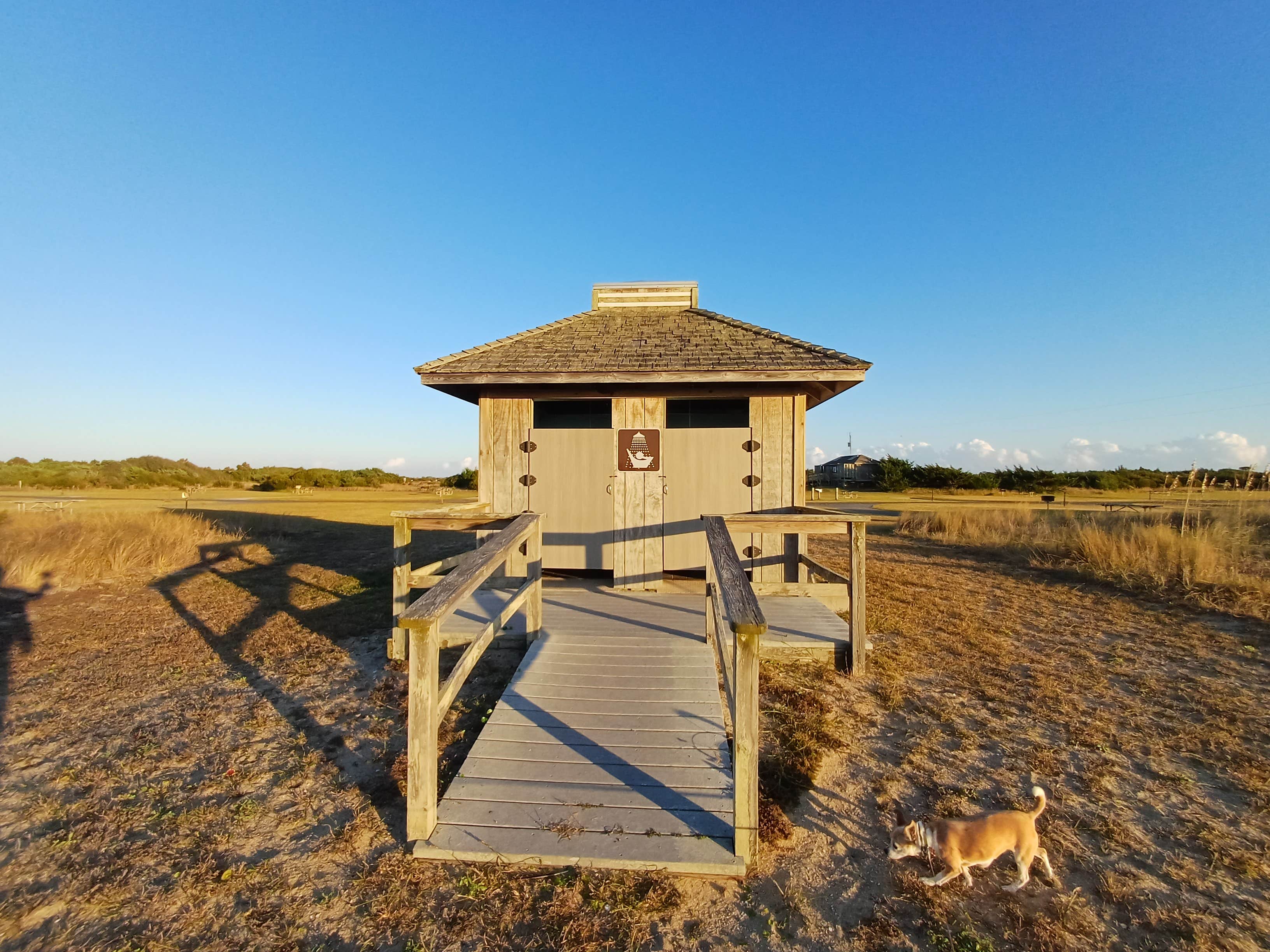 Laura M.'s photo of camping with pets at Cape Point — Cape Lookout National Seashore near Frisco, NC