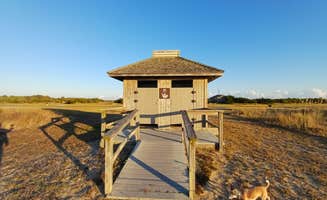 Laura M.'s photo of camping with pets at Cape Point — Cape Lookout National Seashore near Frisco, NC