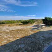 Review photo of Ocracoke Campground — Cape Hatteras National Seashore by Laura M., January 5, 2024