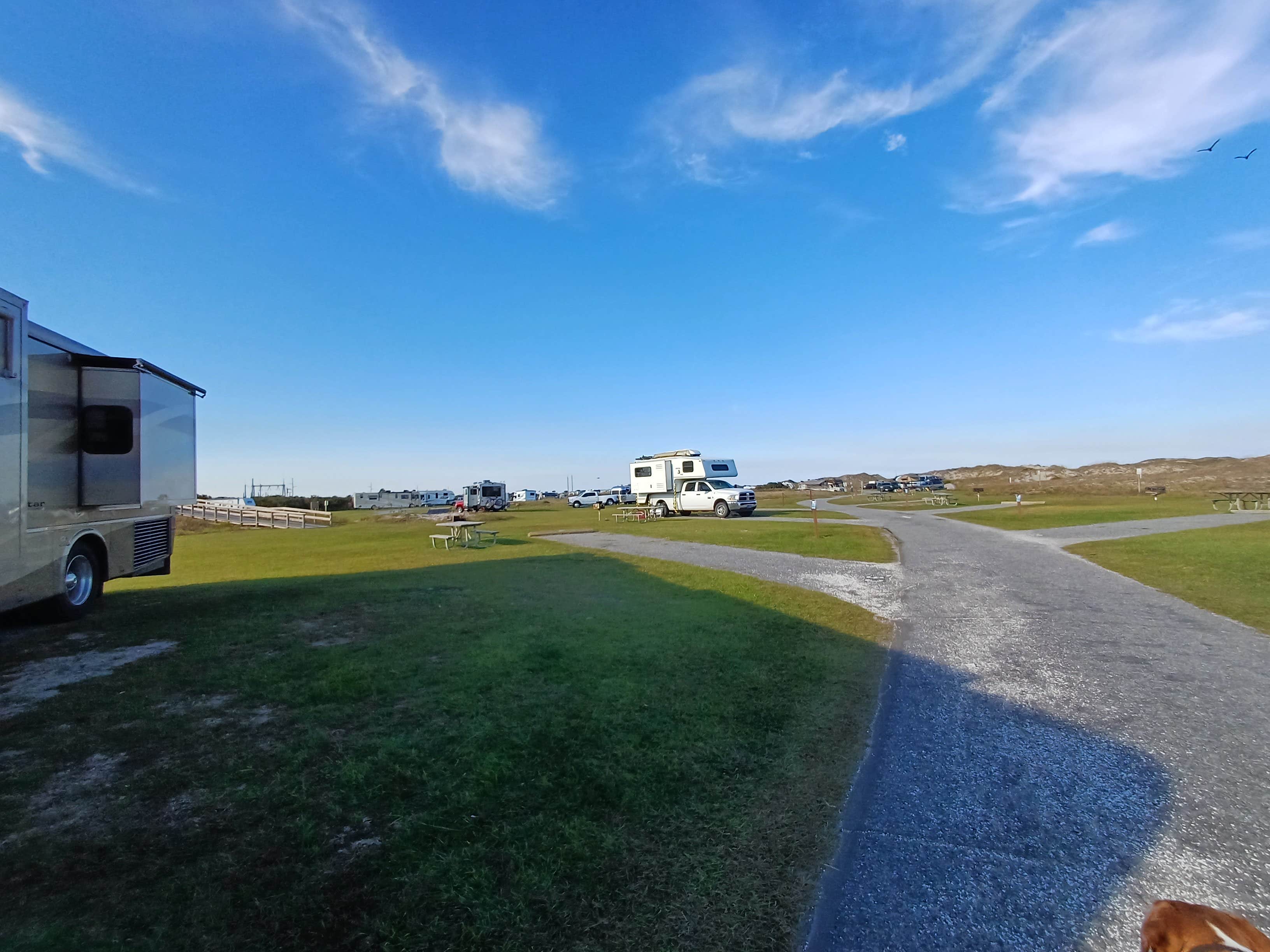 Laura M.'s photo of camping with pets at Oregon Inlet Campground — Cape Hatteras National Seashore in North Carolina