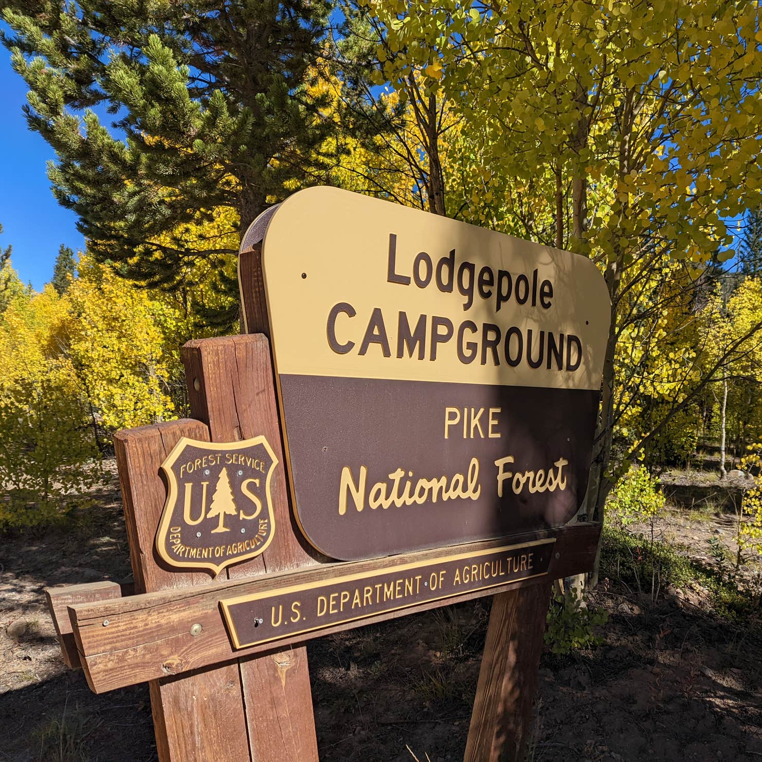Lodgepole Campground Gunnison, CO