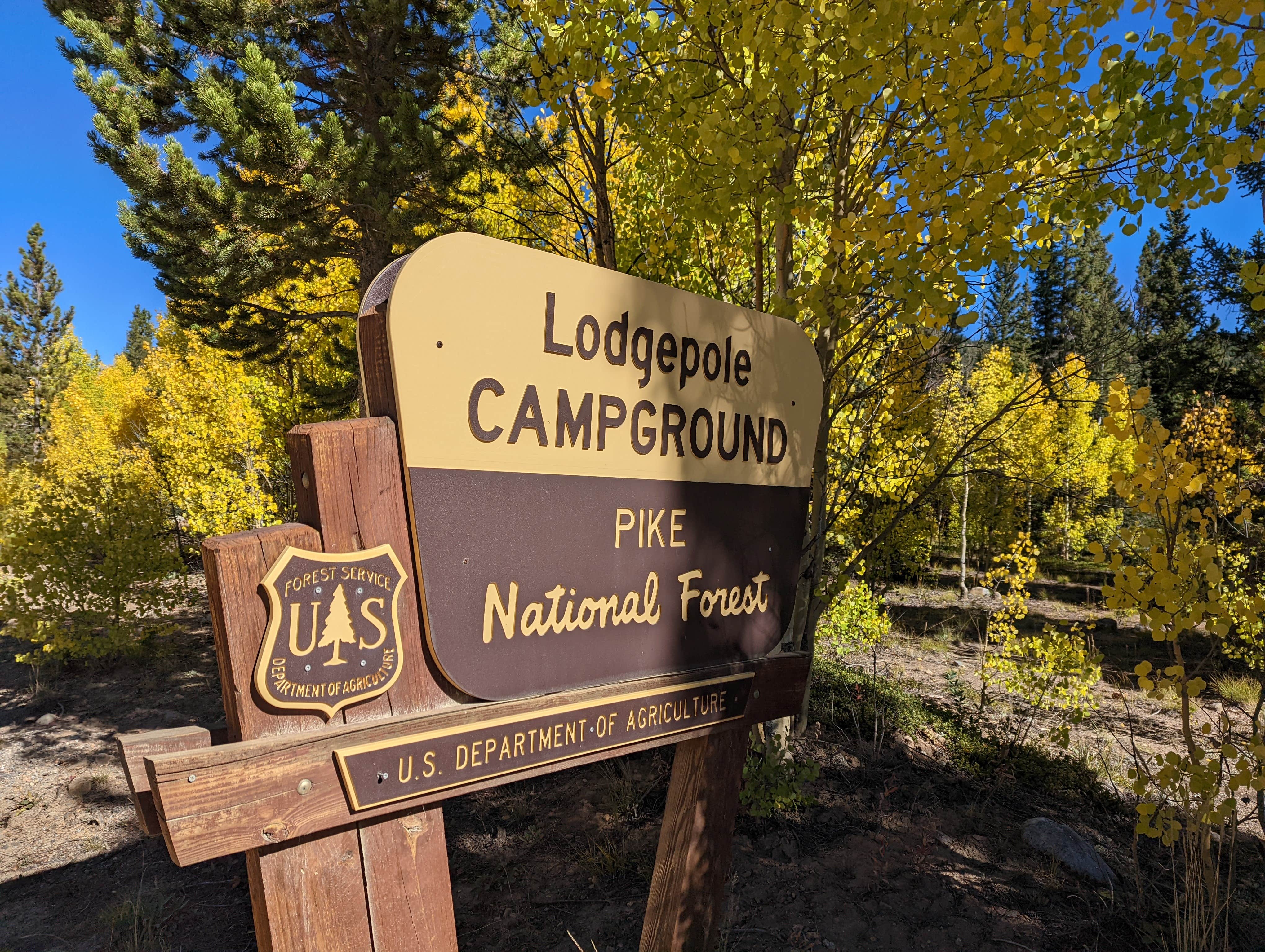 Camper submitted image from Lodgepole Campground - 2