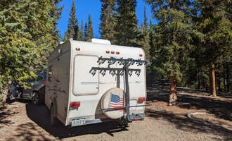 Camping near Gold Creek: Lodgepole Campground, Almont, Colorado