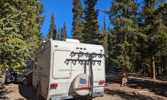 Camping near Gold Creek: Lodgepole Campground, Almont, Colorado