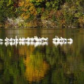 Review photo of Lake of the Ozarks State Park Campground by Shirwil L., November 4, 2018