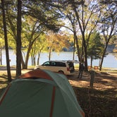 Review photo of Lake of the Ozarks State Park Campground by Shirwil L., November 4, 2018