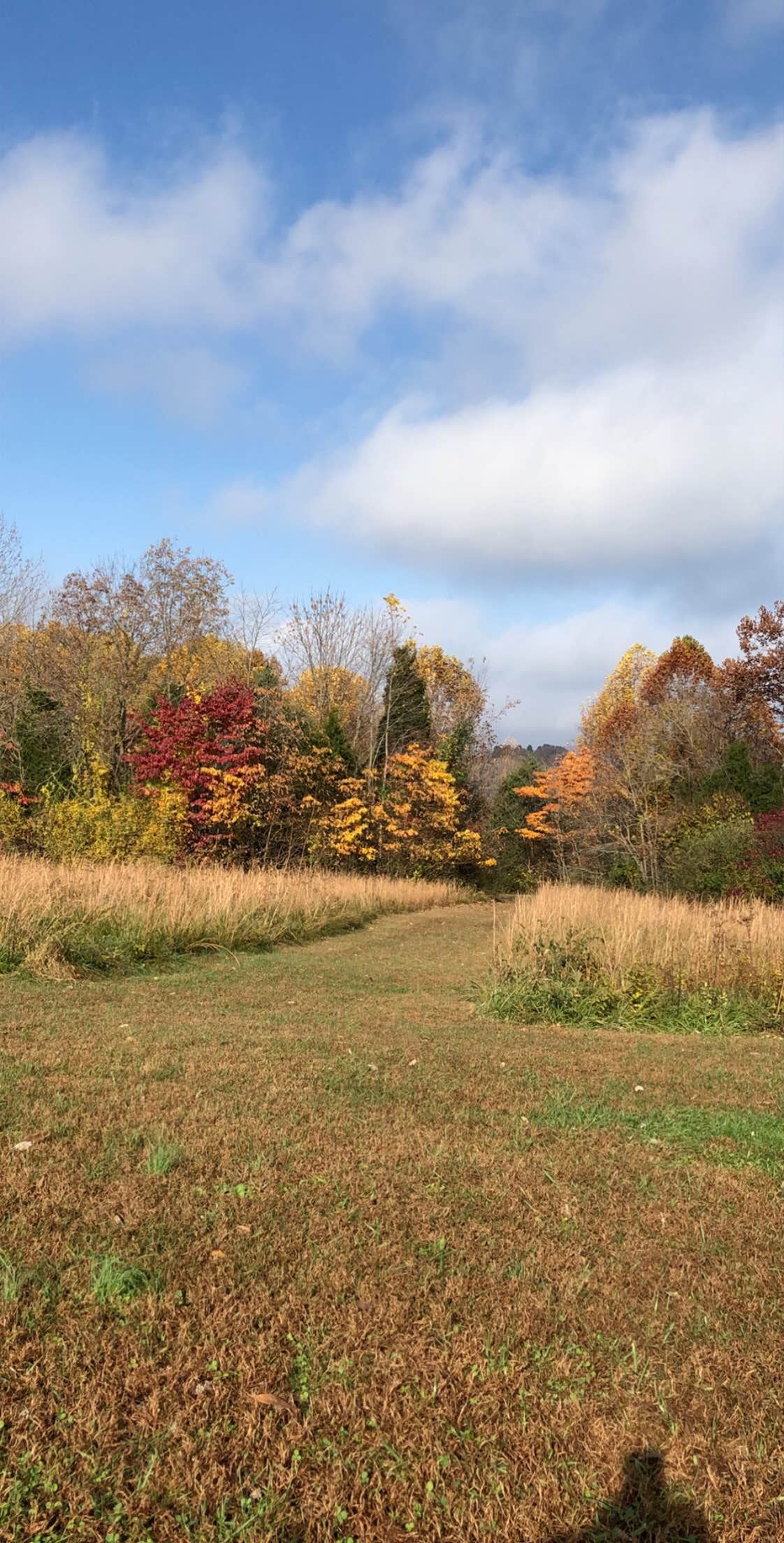 Camper-submitted photo at Patoka Lake Campground in Indiana