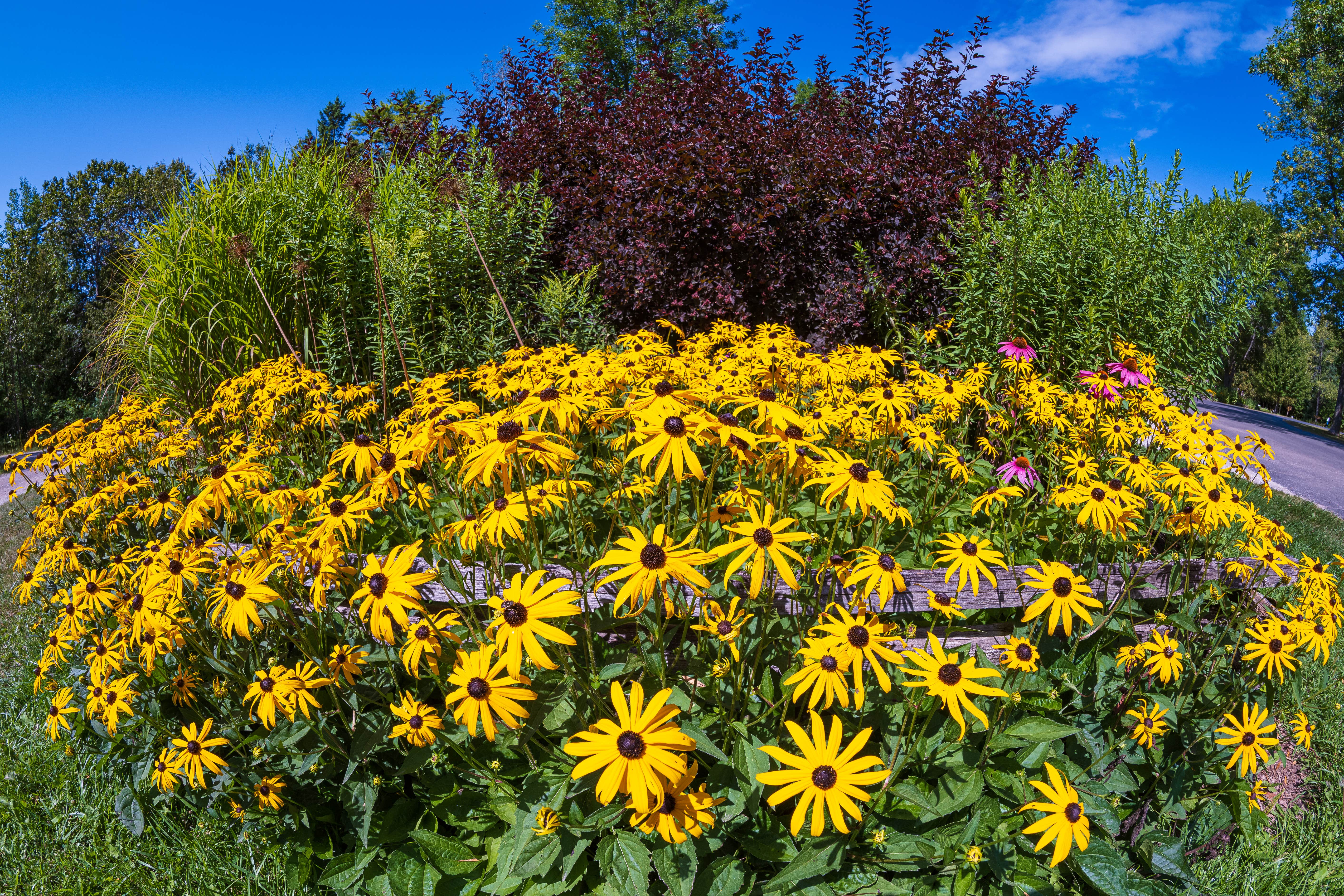 Camper-submitted photo at Wagon Trail Campground in Wisconsin