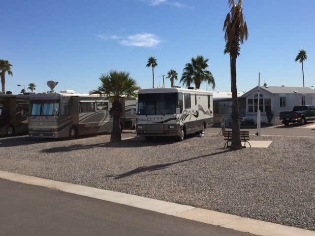 Camper-submitted photo at Desert Shadows RV Resort near Scottsdale, AZ