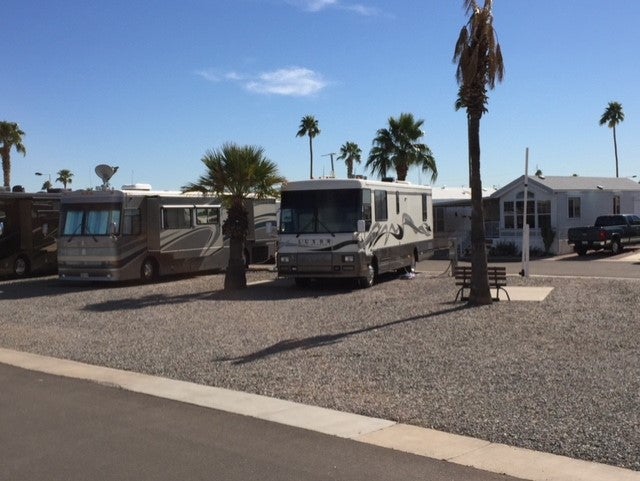 Camper submitted image from Desert Shadows RV Resort - 2