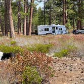 Review photo of FS Rd 1514 Dispersed camping by Kelly H., January 6, 2024