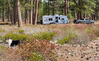 Kelly H.'s photo at FS Rd 1514 Dispersed camping near Sisters, OR