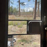 Review photo of FS Rd 1514 Dispersed camping by Kelly H., January 6, 2024