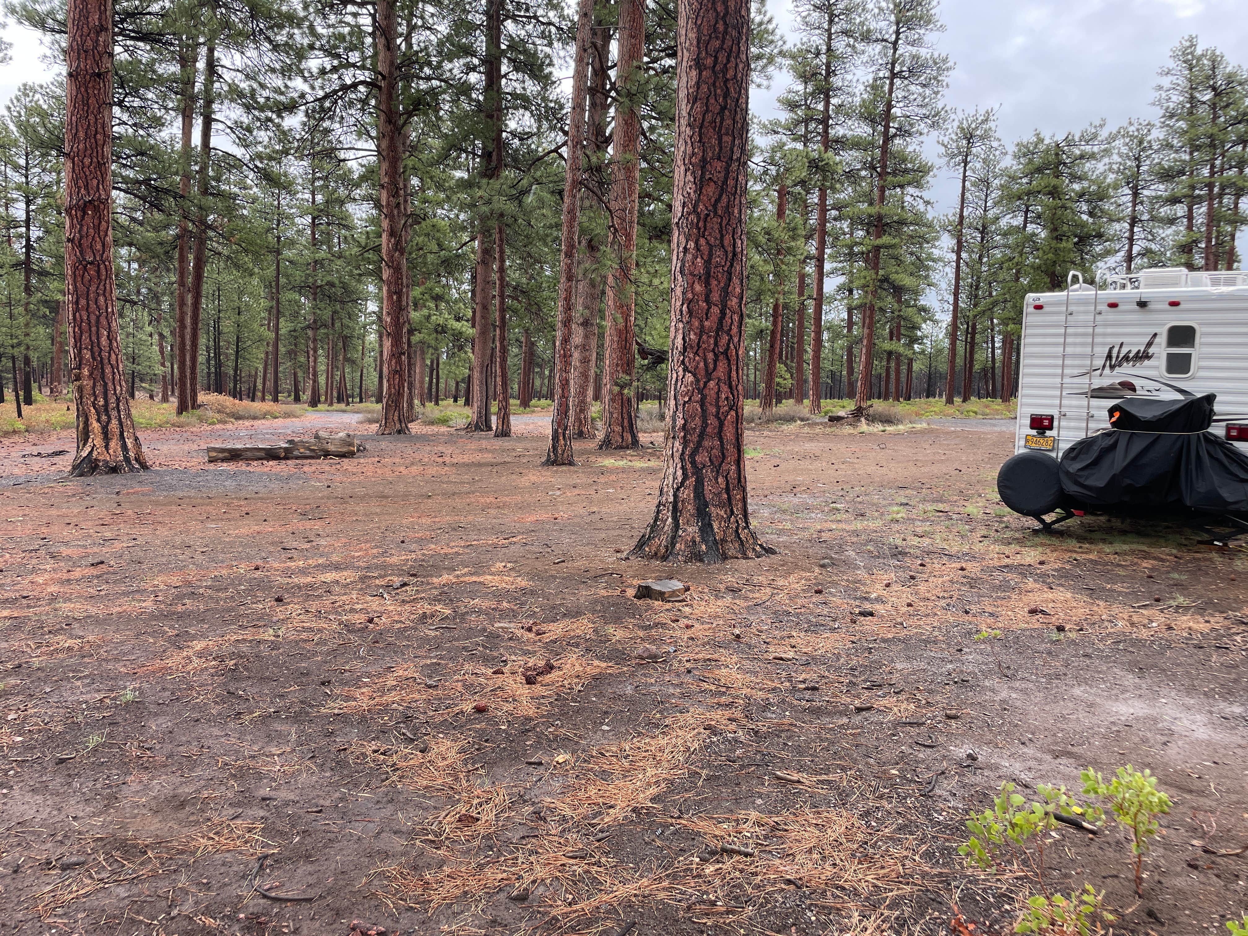 Camper-submitted photo at FS Rd 1514 Dispersed camping near Cloverdale, OR