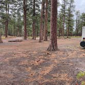 Review photo of FS Rd 1514 Dispersed camping by Kelly H., January 6, 2024