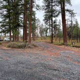 Review photo of FS Rd 1514 Dispersed camping by Kelly H., January 6, 2024