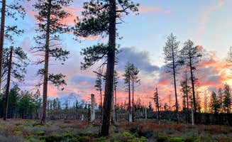 Kelly H.'s photo of a dispersed camping area at FS Rd 1514 Dispersed camping near Camp Sherman, OR