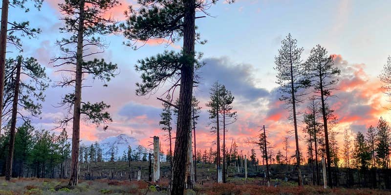 Camper submitted image from FS Rd 1514 Dispersed camping