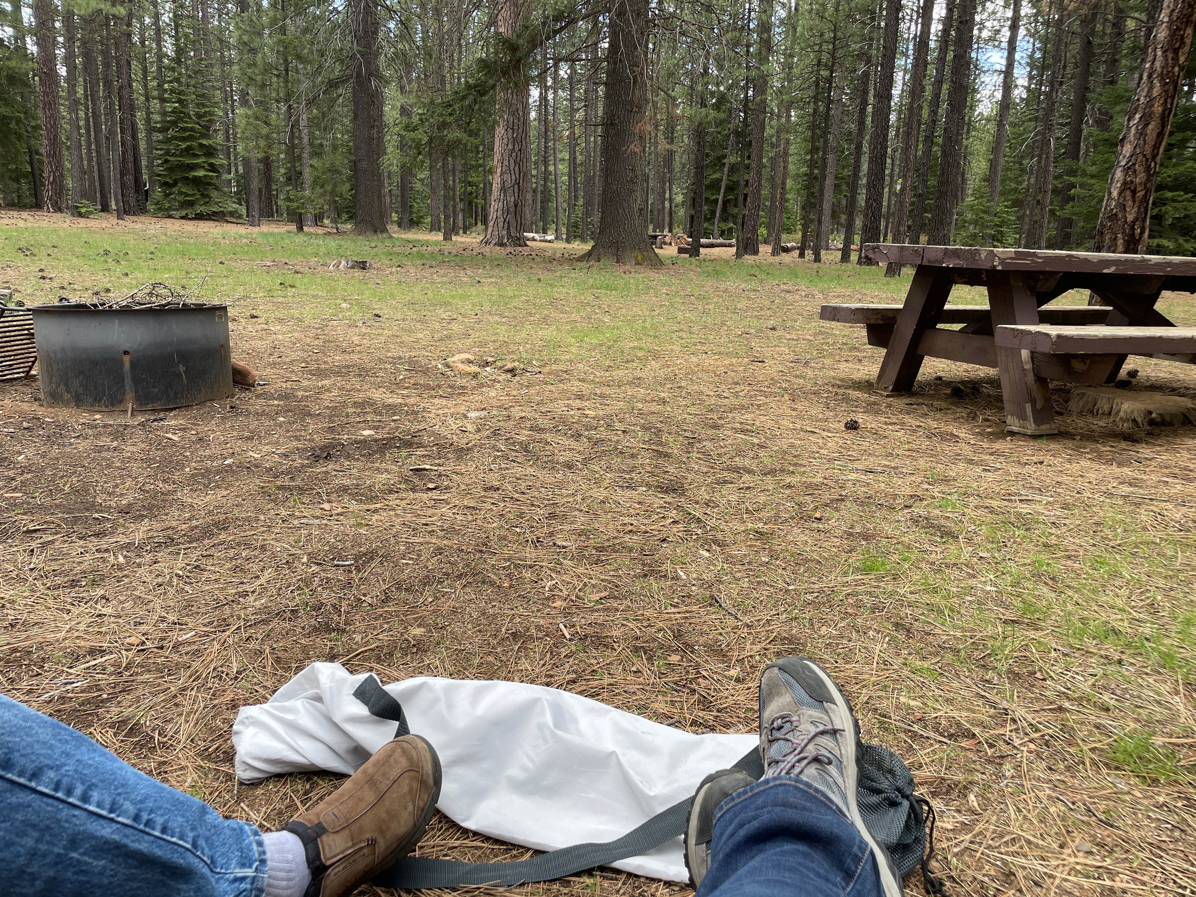 Camper submitted image from Jack Creek Campground - 5