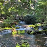 Review photo of Jack Creek Campground by Kelly H., January 6, 2024