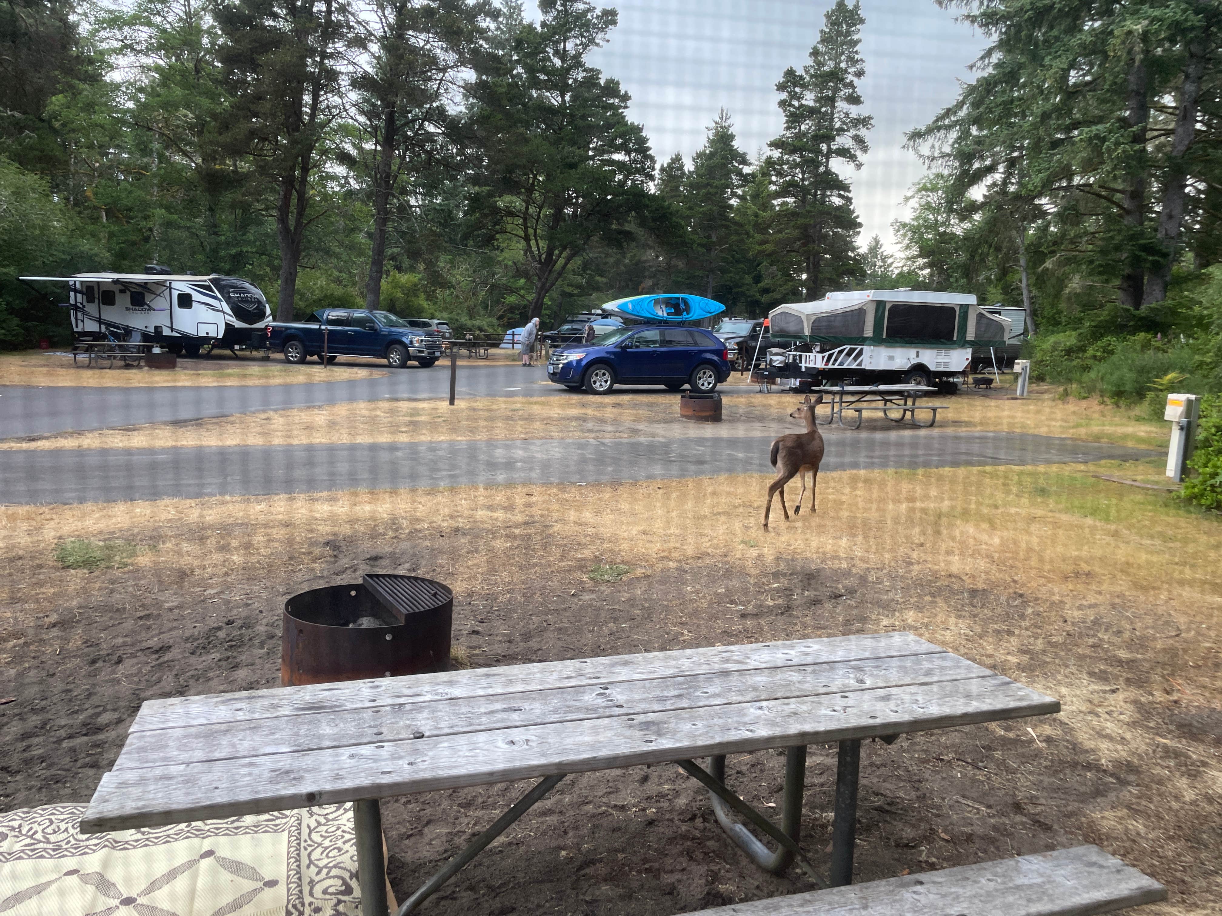 Kelly H.'s photo at Fort Stevens State Park Campground near Hammond, OR