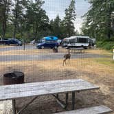 Review photo of Fort Stevens State Park Campground by Kelly H., January 6, 2024
