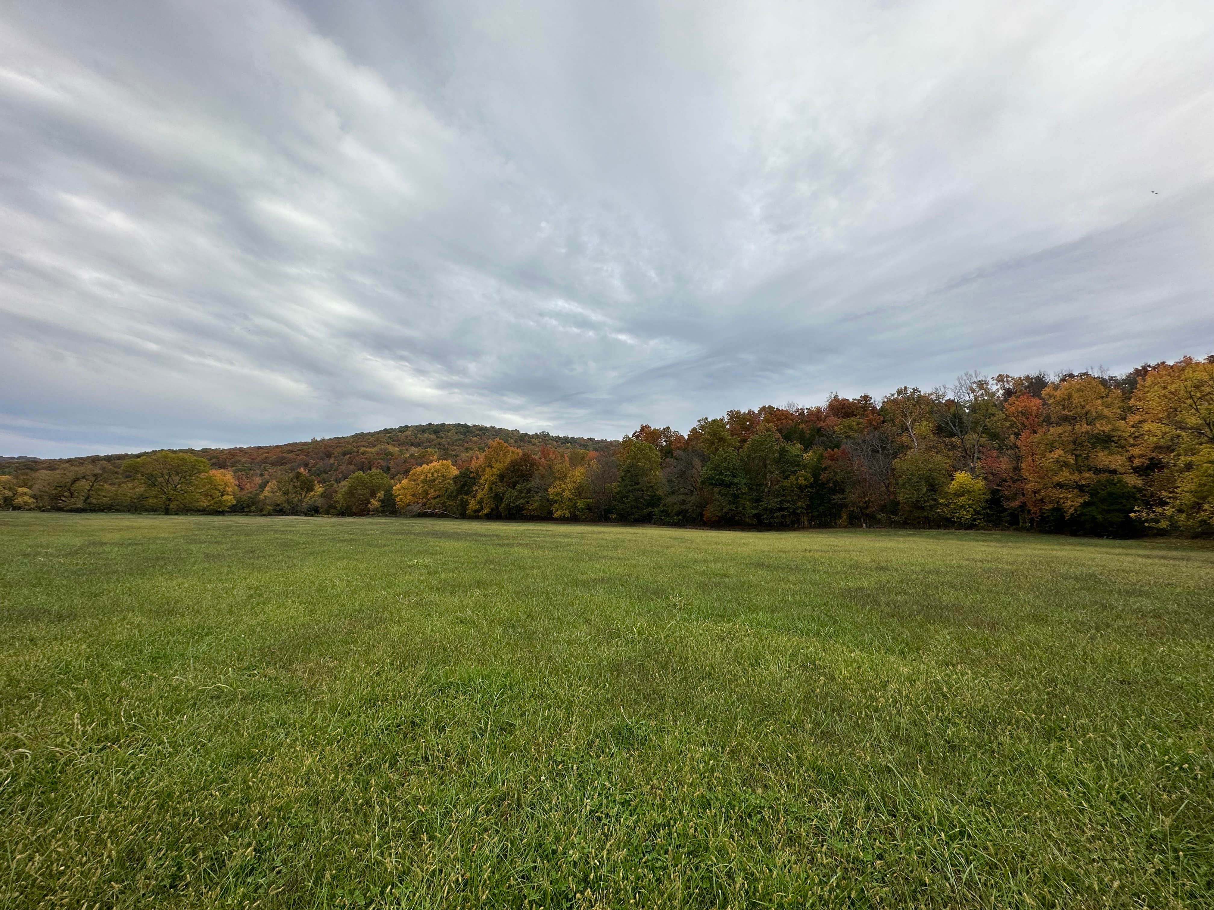 Camper-submitted photo at Kingston Trails RV Park near Combs, AR