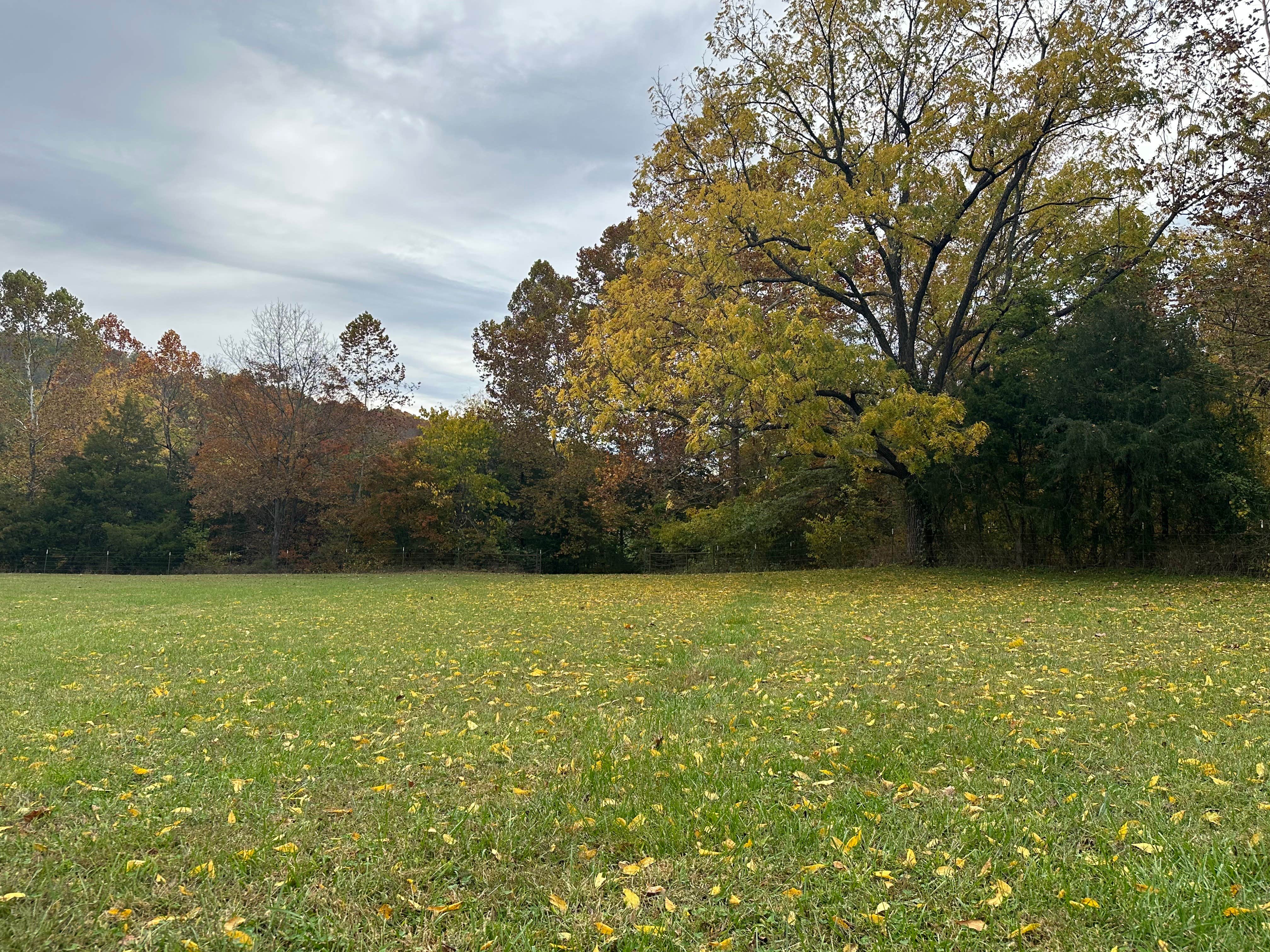 Camper-submitted photo at Kingston Trails RV Park near Combs, AR